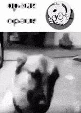 a black and white photo of a cartoon character and the words " ane do " on the bottom
