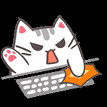 angry typing miss neko2 cat