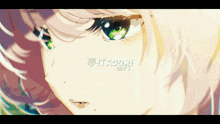 a close up of a girl 's face with the words " it acorn " written below