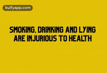 Smoking, Drinking, Lying.Gif GIF