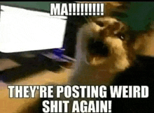 a cat is screaming in front of a computer screen with the words `` they 're posting weird shit again ! '' .