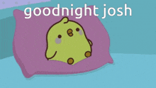 Goodnight Josh GIF