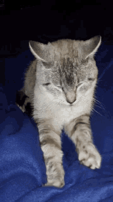 Making Biscuits GIF - Making Biscuits GIFs