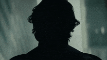a silhouette of a man 's back is shown