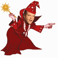 meatloaf magic wizard flowers