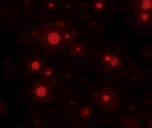 Sparkles Red GIF