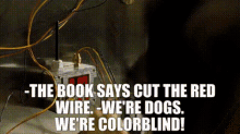 Red Wire GIF - Red Wire Cats GIFs