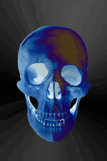 skull calavera dia de los muertos dark gothic