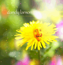 a dandelion with a face on it and the name dandy larson below it