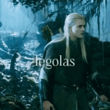 Legolas Lord Of The Rings GIF - Legolas Lord Of The Rings Elf GIFs