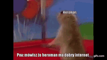 Heromaus Heroman GIF - Heromaus Heroman Heromanus Pospolitus GIFs