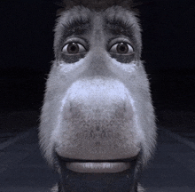 a close up of a donkey 's face with a beard