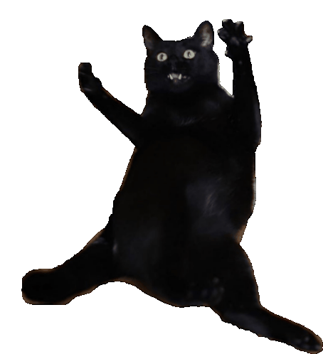 Catdance Dance Cat Sticker - Catdance Dance Cat Cat Stickers