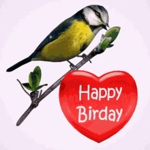 Happy Birthday Happy Birday GIF - Happy Birthday Happy Birday Birthday Greetings GIFs