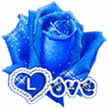 Blue Rose Love GIF