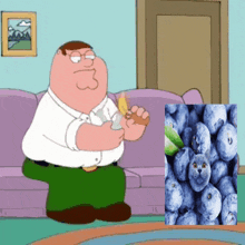 Blueberry Cat Peter GIF - Blueberry Cat Peter Crack GIFs