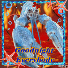 Goodnight Lobster GIF - Goodnight Lobster Bluelobster GIFs