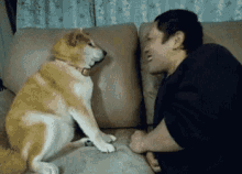 a man and a dog are sitting on a couch and the dog is looking at the man .
