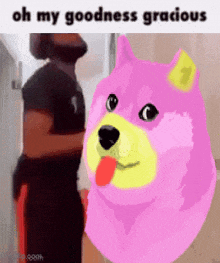 a man is standing next to a pink doge that says oh my goodness gracious .