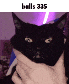 a black cat is being held in someone 's hands with the words " balls 335 " above it