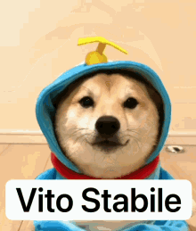 Vito Zerodx GIF - Vito Zerodx Vito Stabile GIFs