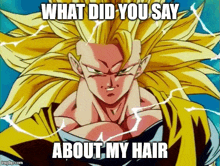 Goku Super Saiyan Goku GIF - Goku Super Saiyan Goku Meme GIFs