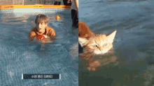Taehyun Cat Swimming Kang Taehyun GIF