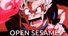 Open Sesame Dragon Ball Z GIF