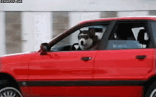 drive what dog shades chill