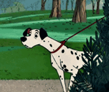 a dalmatian dog is on a leash in a cartoon