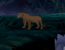 Angry Nala Lion King GIF - Angry Nala Lion King GIFs