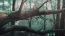 Anime Sparrow GIF - Anime Sparrow GIFs