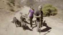 Cesar Millan GIF - Cesar Millan Pack Leader Dog Whisperer GIFs