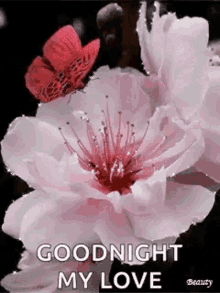Good Night Sparkles GIF