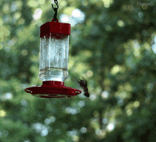a hummingbird is flying towards a bird feeder with frames written on the bottom
