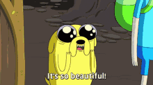 Beautiful Gorgeous GIF - Beautiful Gorgeous Adventure Time GIFs