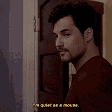 Greys Anatomy Andrew Deluca GIF - Greys Anatomy Andrew Deluca Im Quiet As A Mouse GIFs