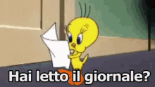 Titti Silvestro Looney Tunes Giornale Leggere Hai Letto GIF - Tweety Bird Sylvester The Cat Looney Tunes GIFs