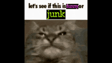 Funnyjunk Lets See If This Is Funny Or Junk GIF