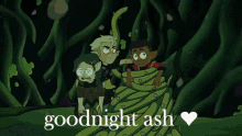 Goodnight Ash Goodnight GIF - Goodnight Ash Goodnight Toh GIFs