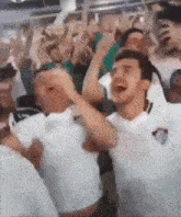 a group of people are standing in a stadium laughing and screaming .