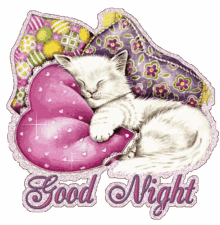 good night cat kitten sleep pillows