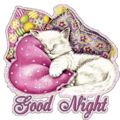 Good Night Cat Sticker - Good Night Cat Kitten Stickers