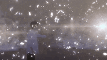 a person in a white shirt stands in front of a wall with petals falling from it