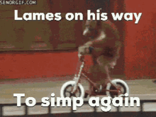 Lames James GIF - Lames James Heatfishfan GIFs