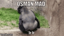 Osman Madea GIF - Osman Madea Freezing GIFs