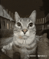 a cat is sitting in a cage with a watermark that says hailuo ai on the bottom
