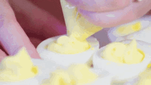 Filling Deliciously Creamy Deviled Eggs GIF - Eggs Deviled Eggs Creamy GIFs