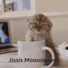 Jissis Moer Coffee Cat GIF - Jissis Moer Coffee Cat Jirre Jissis GIFs