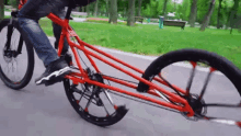 Bike Peloton GIF - Bike Peloton Wheel GIFs